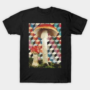 Amanita Muscaria T-Shirt